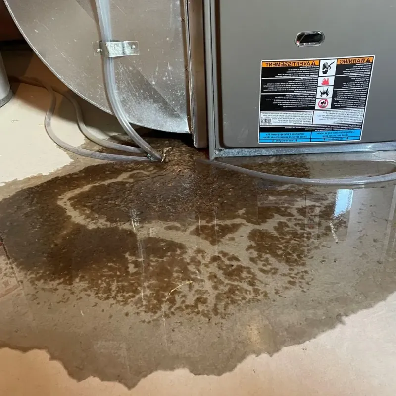 Pipe Burst and Leak Restoration in Big Spring, TX