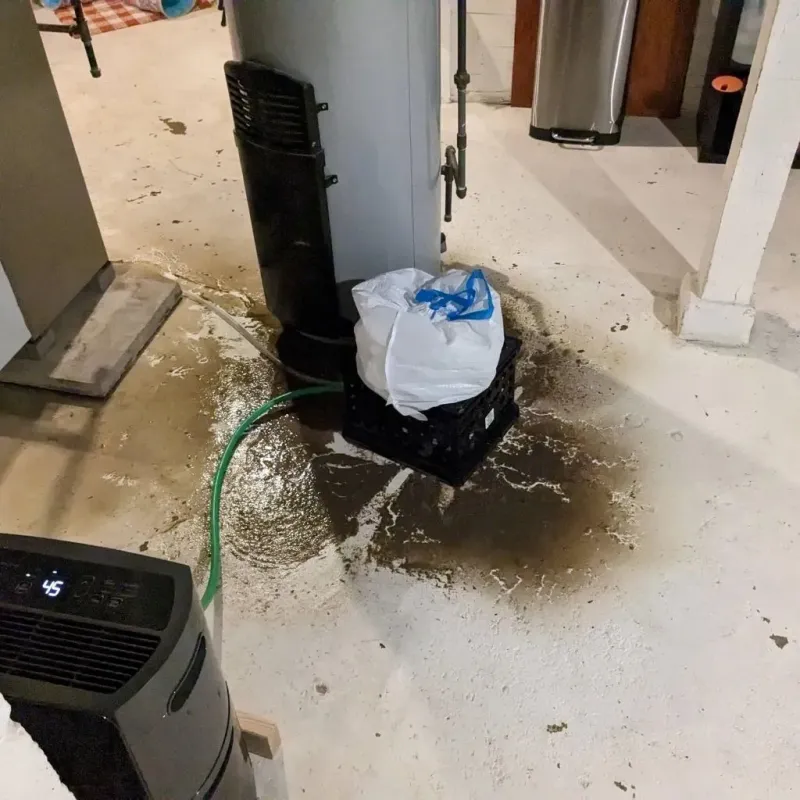 Sewage Backup Cleanup Service in Big Spring, TX
